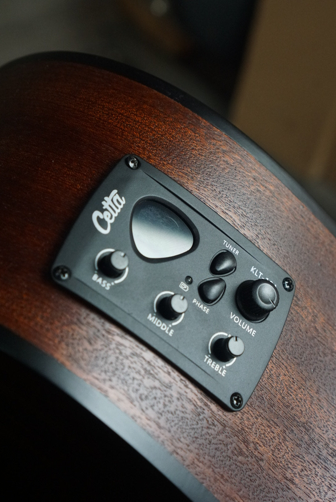 CETTA ACOUSTIC ELECTRIC CD22 CE-NAT