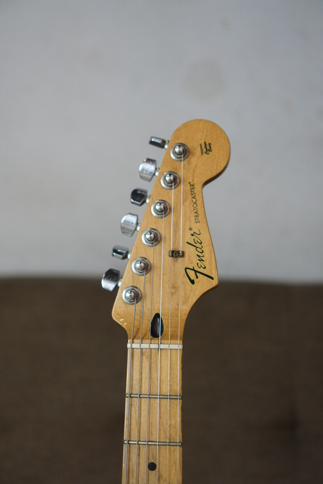 Fender Stratocaster Standard Plus Top