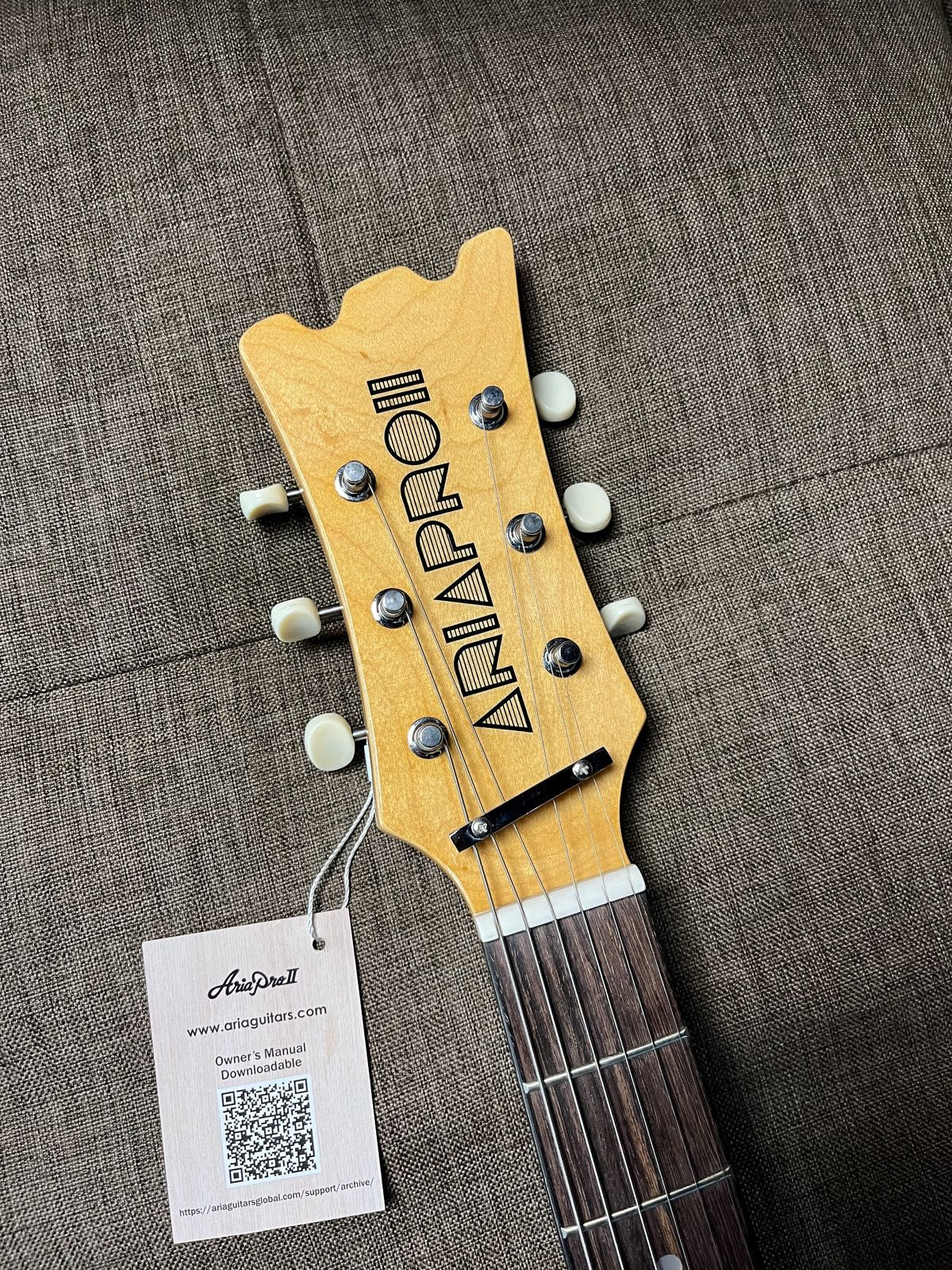ARIA PRO II DM-206 ELECTRIC GUITAR