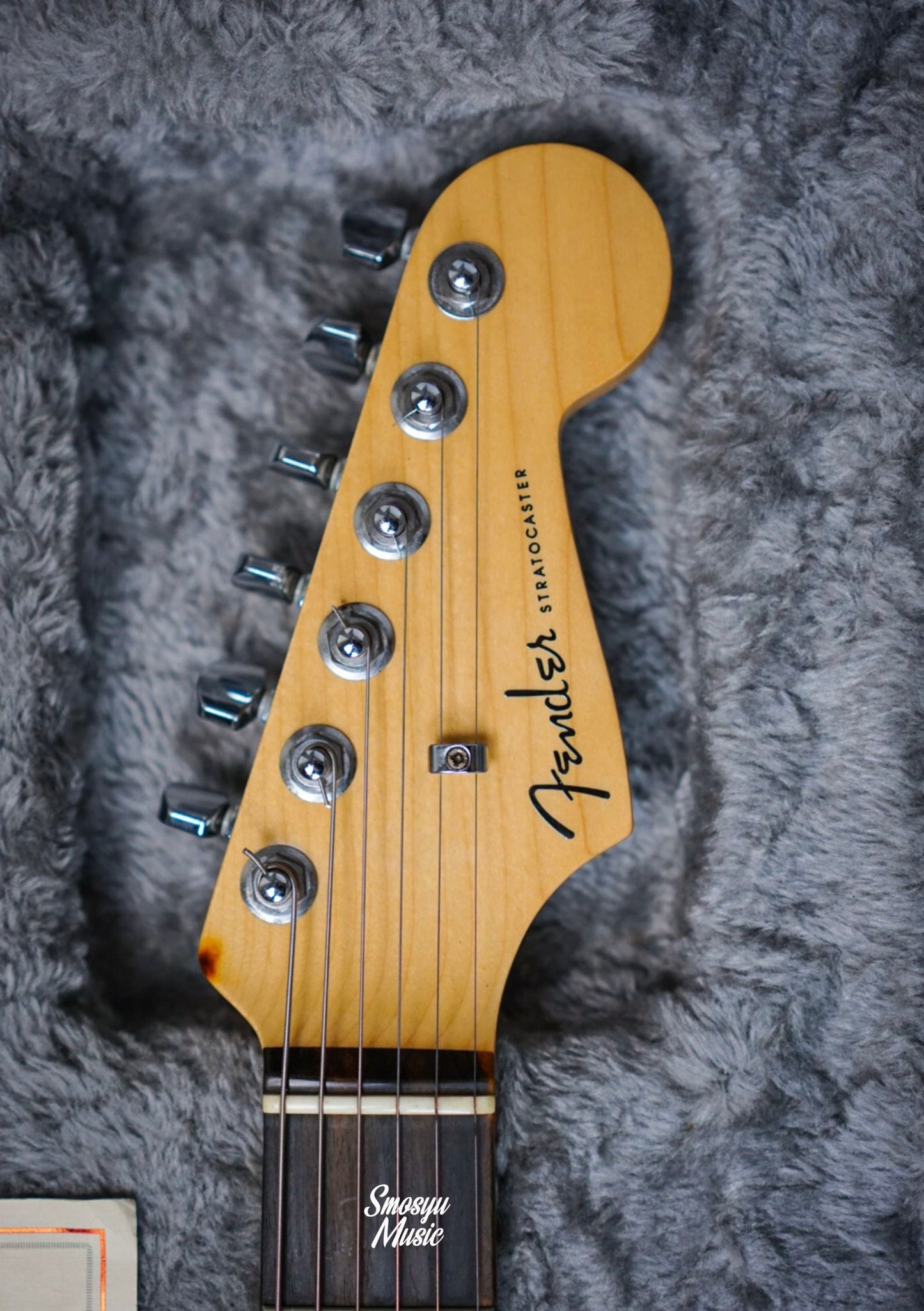 Fender Stratocaster American Elite Relic