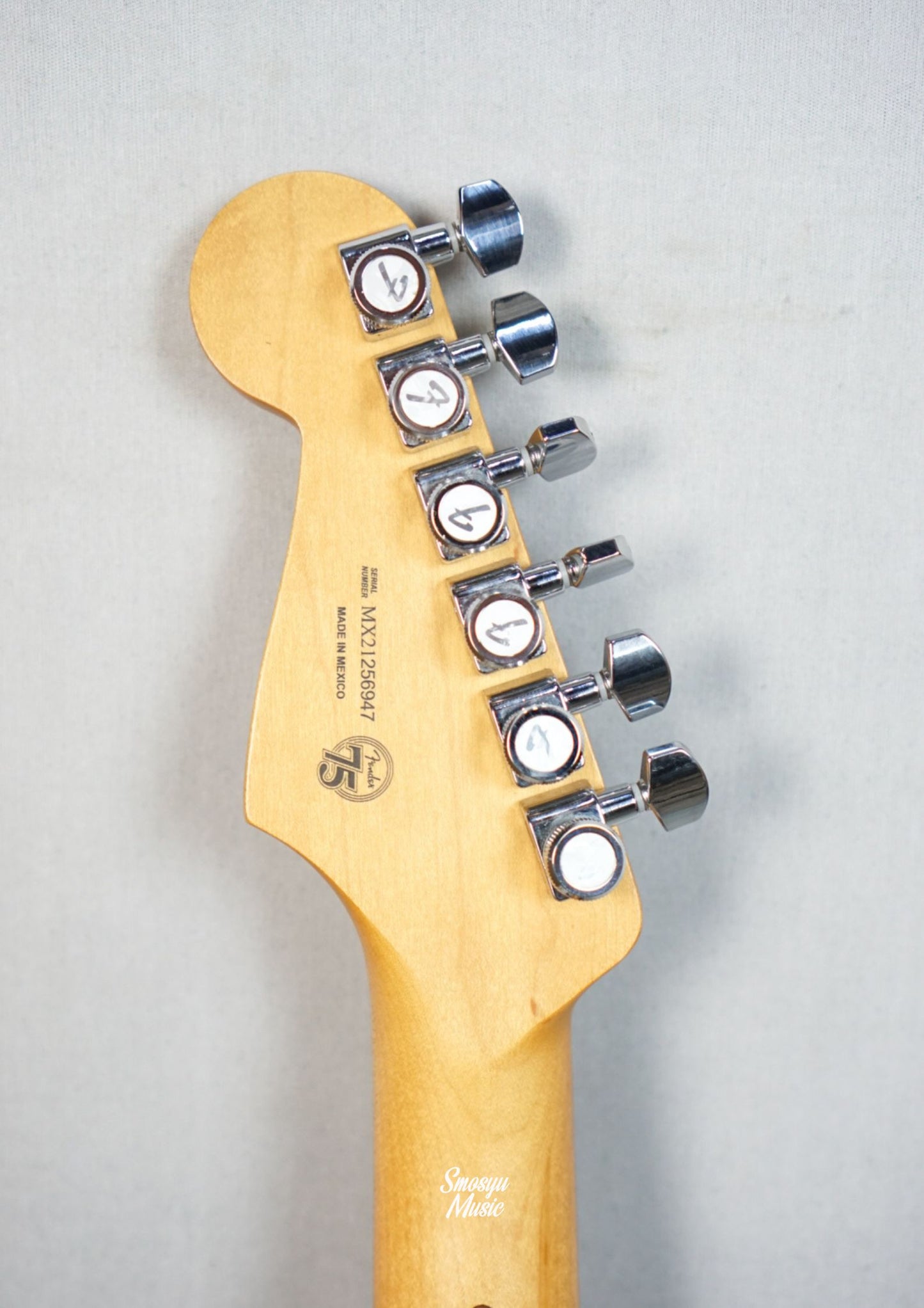 Fender Stratocaster Player Plus HSS