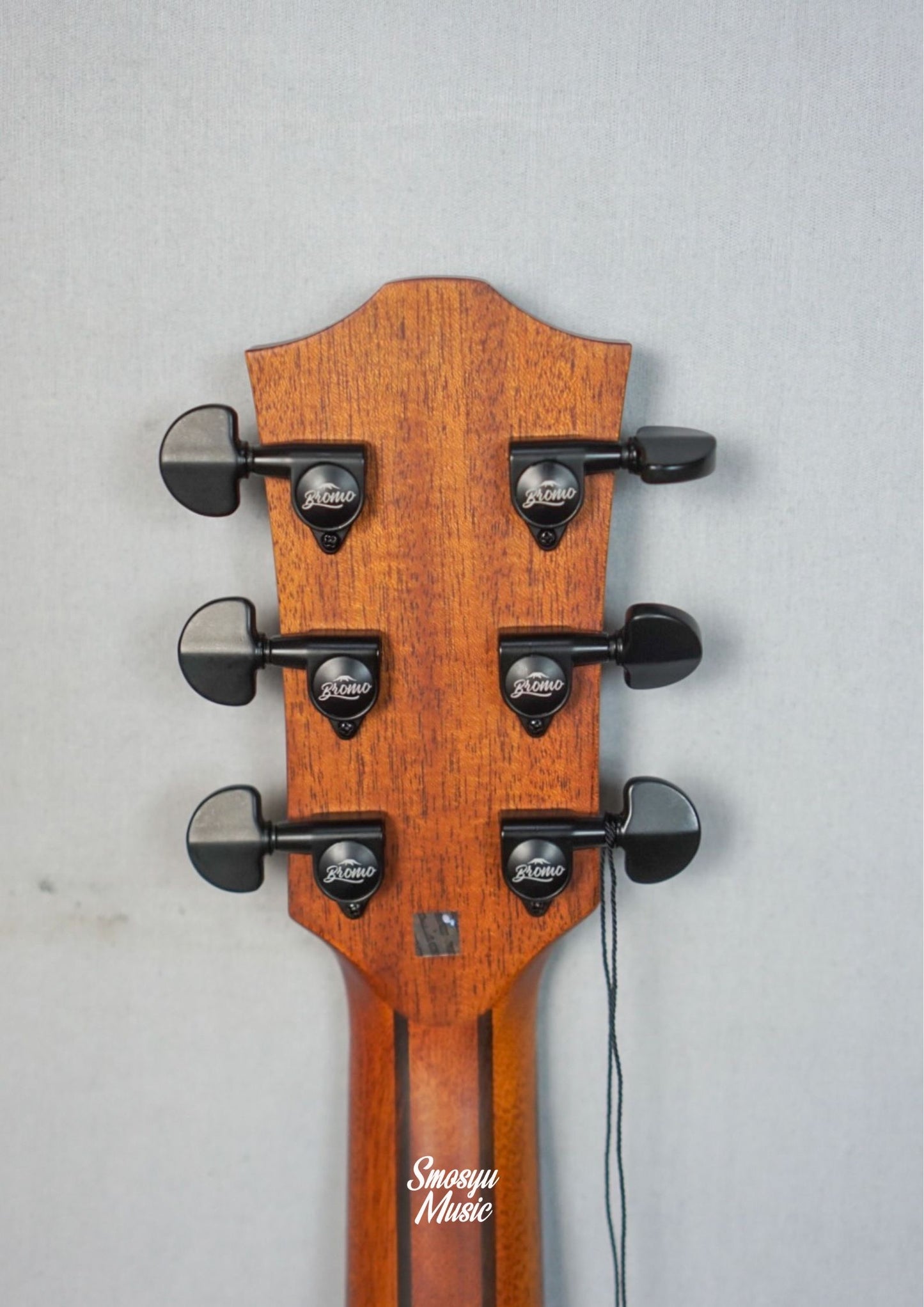 Bromo Acoustic Electric BAR5CE