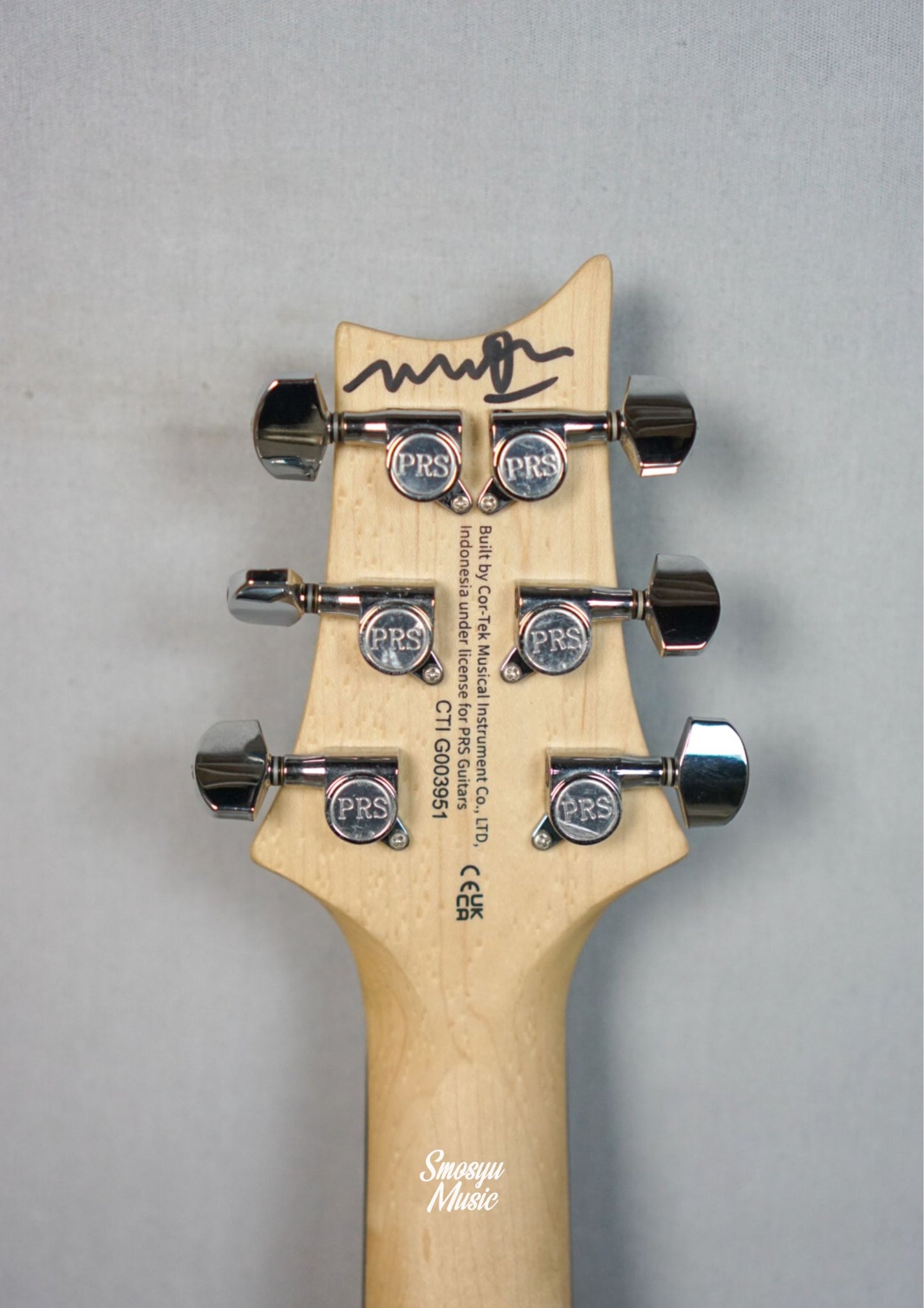 PRS CE 24 Signature Andra Ramadhan