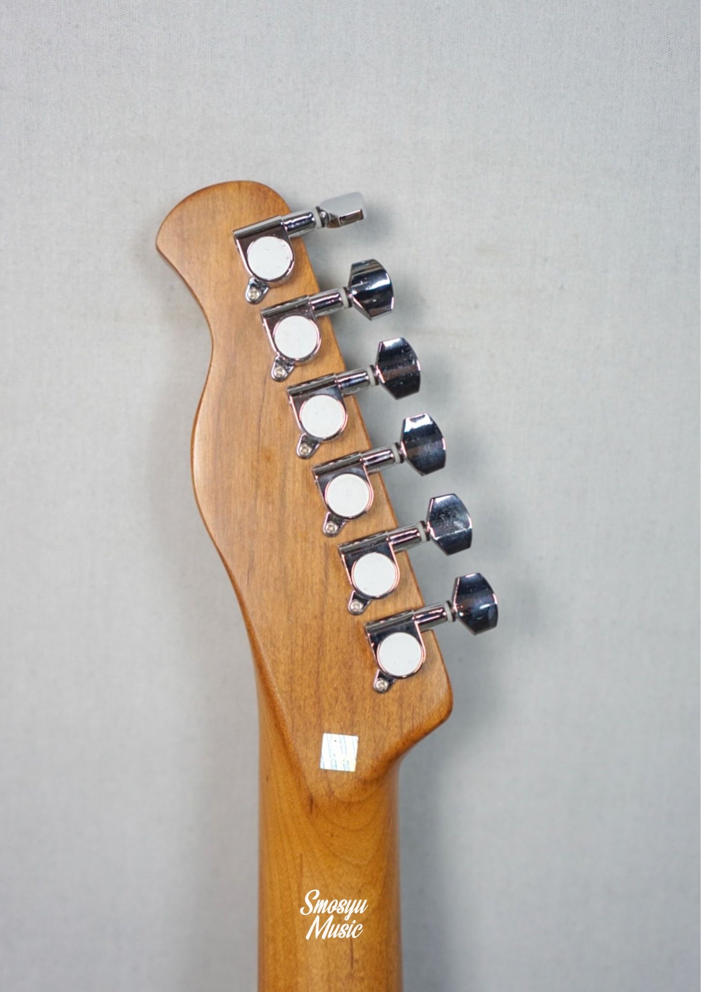 Bacchus Universe BTE-1RSM/M Tri Tone Sunburst