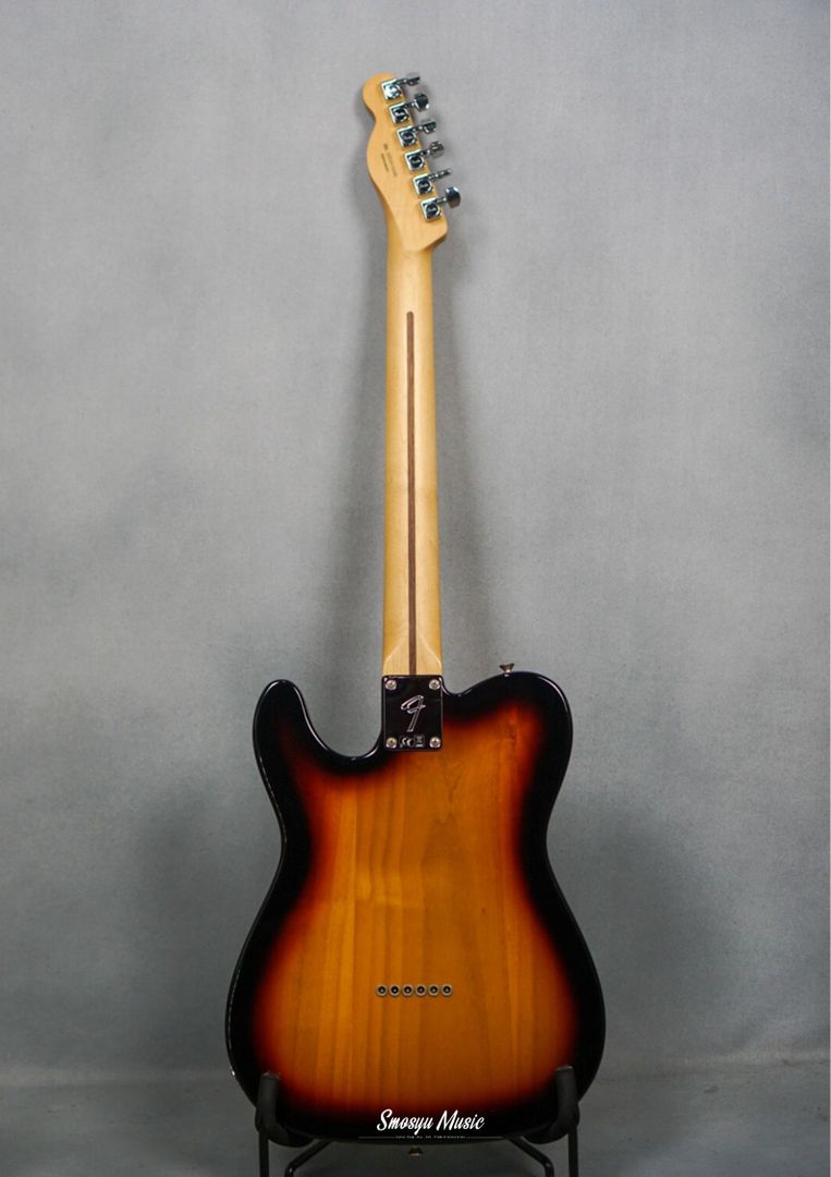 Fender Telecaster Player Series