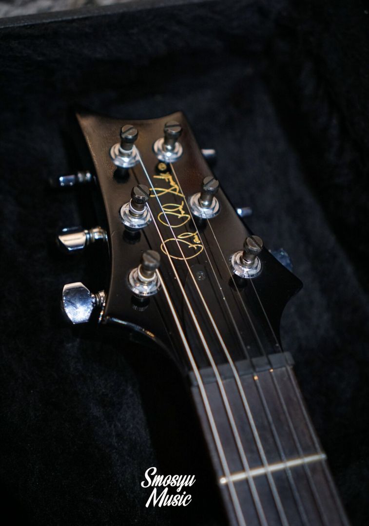 PRS Custom 24 10 Top USA 2008