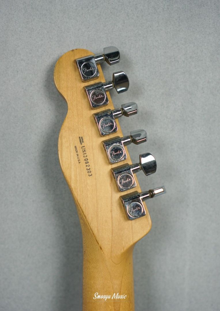 Fender Telecaster American Special