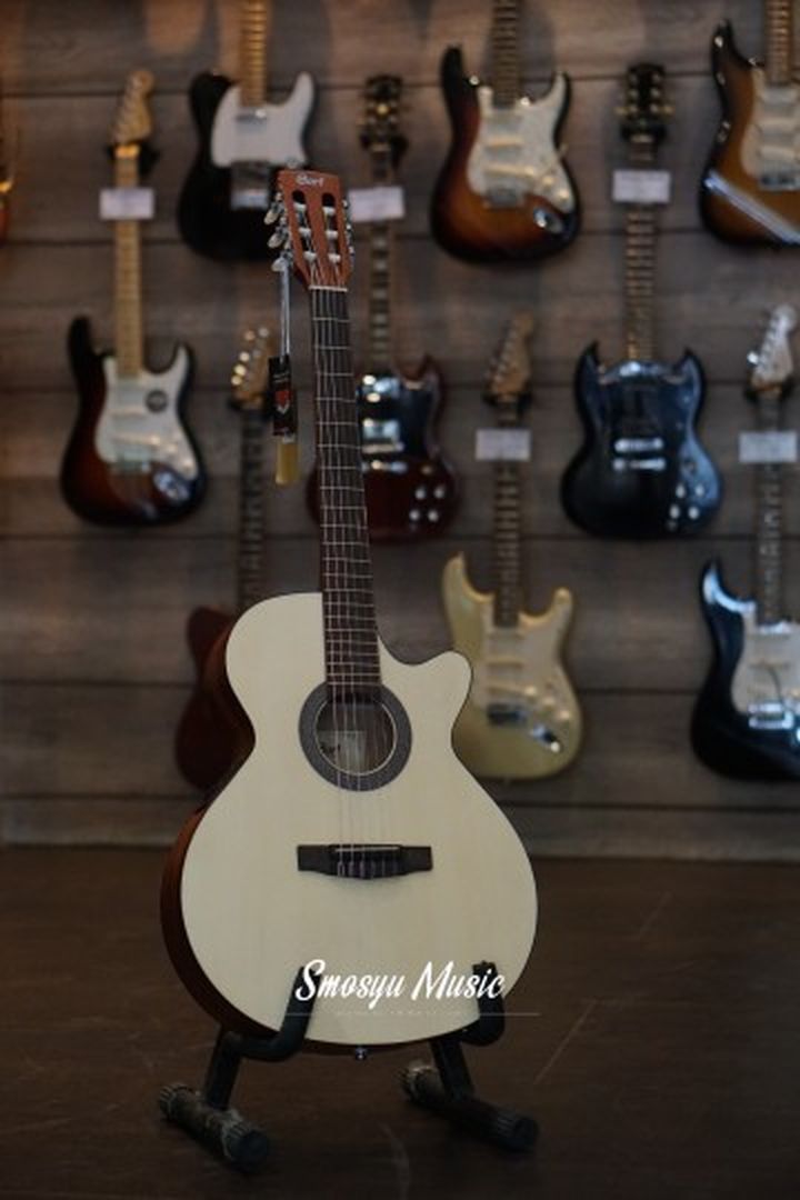 CORT ELECTRIC CLASSIC GUITAR W/EQ TCP 1