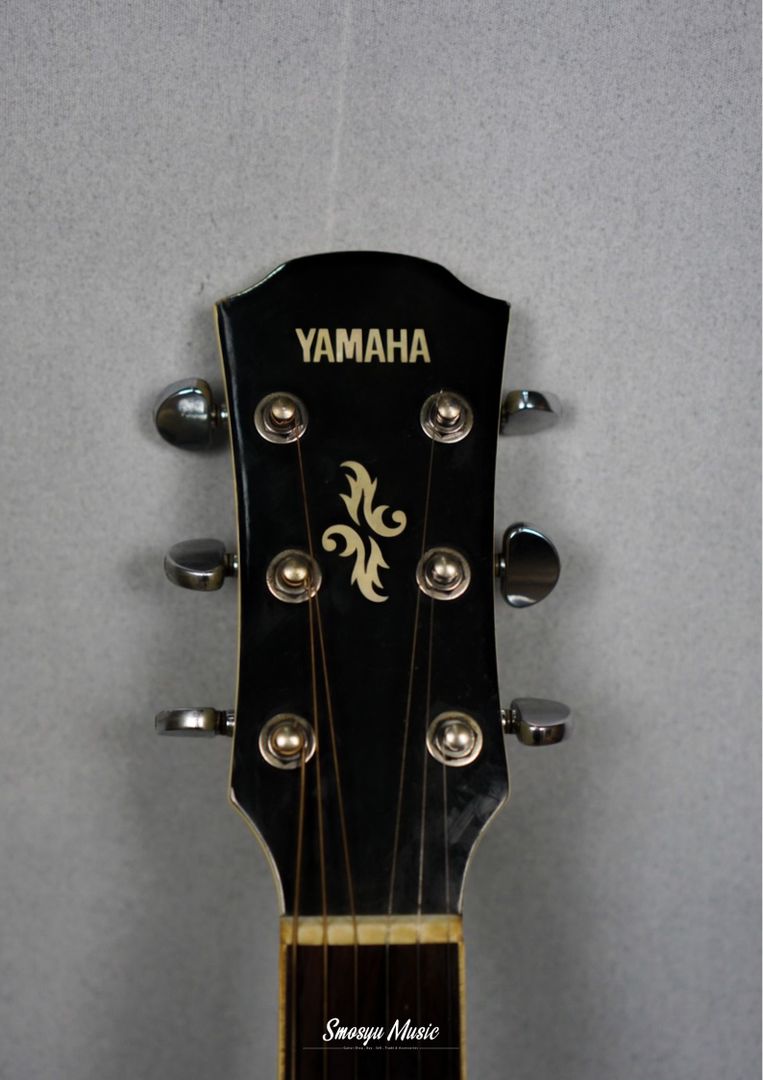 Yamaha APX 500 II