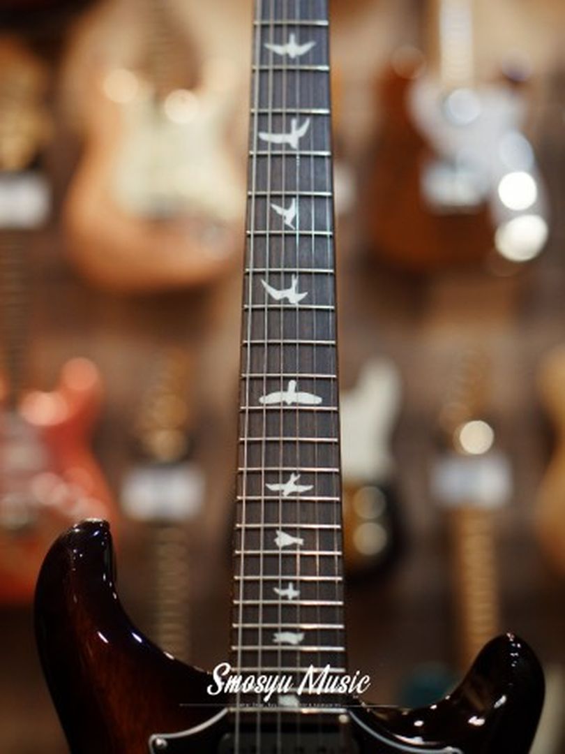 PRS S2 Standard 24 USA