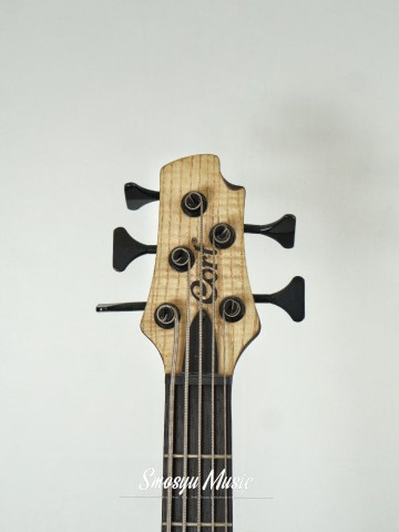Bass Cort B5