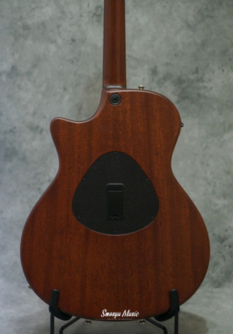Taylor T5 Classic