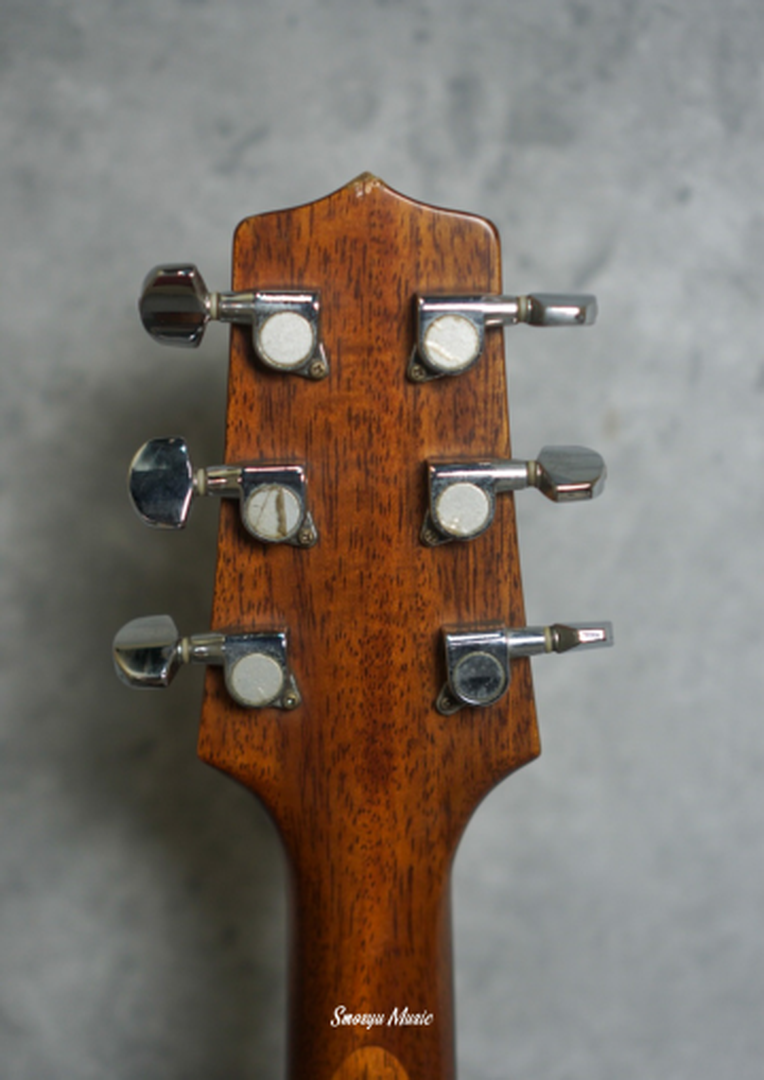 Takamine D Series ED1DC