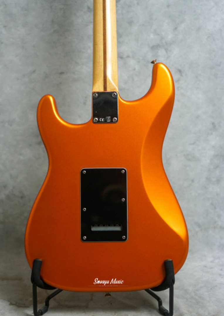 Fender Stratocaster Standard Special Edition