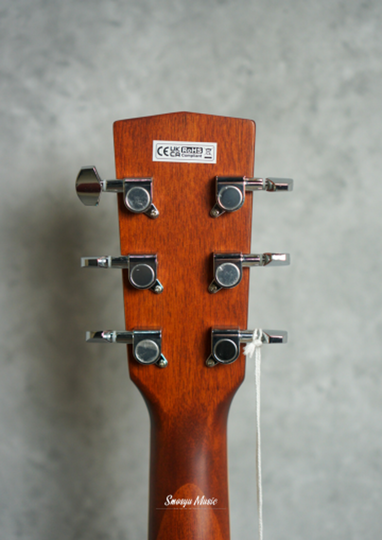 Cort E/Acoustic Guitar SFX-AB-NAT