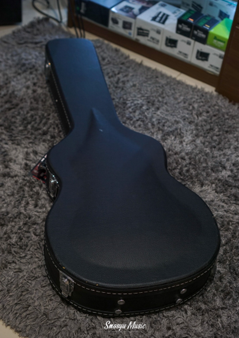 Gator Tweed Guitar Case