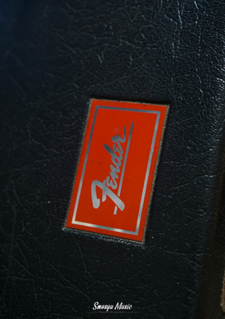 Fender Hardcase Bass