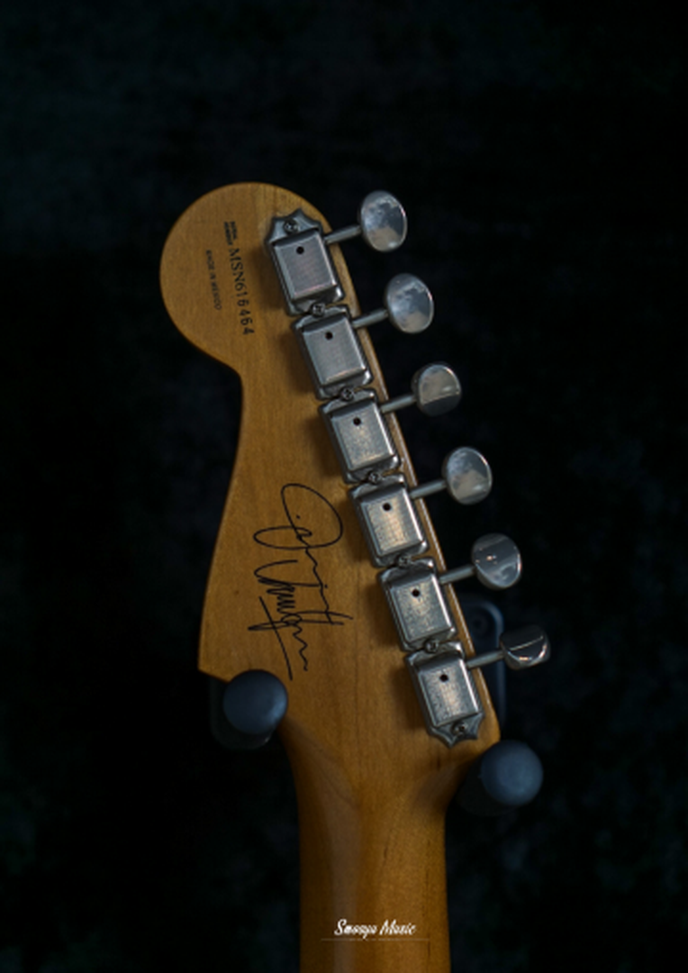 Fender Stratocaster Jimmie Vaughan Upgrade John Page Bloodline Pickups