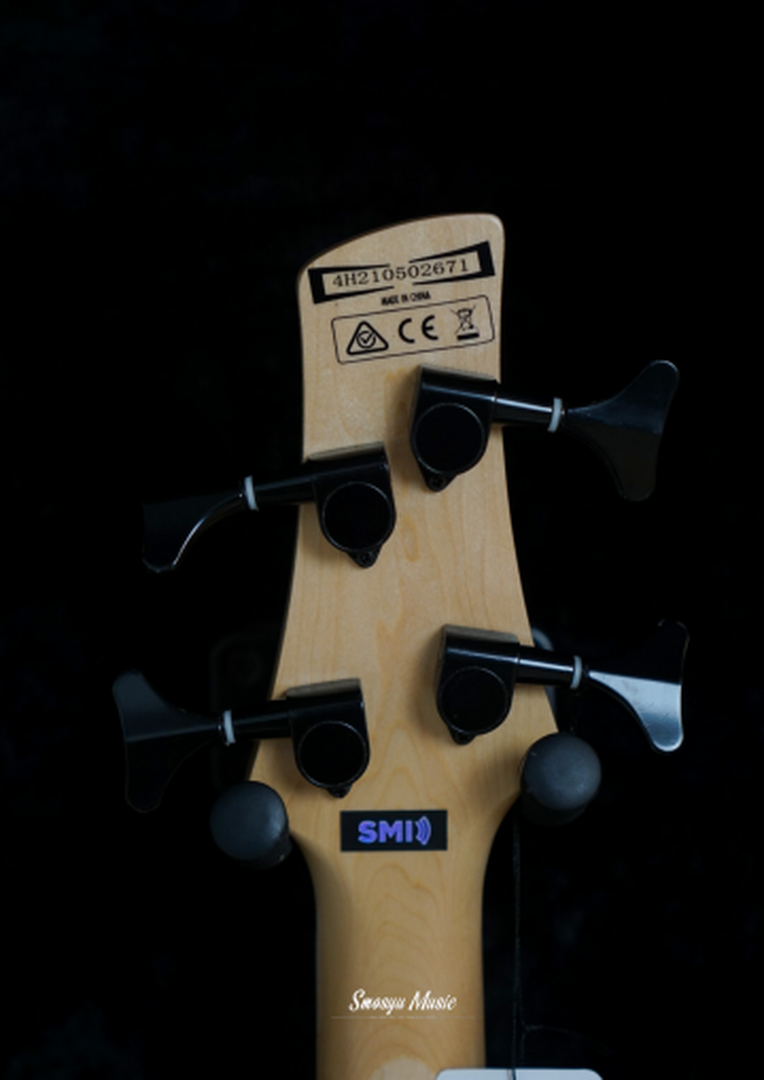 Ibanez GSR200SM-NGT Bass Natural Gray Burst