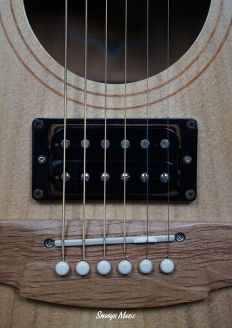 Cole Clark Fat Lady FL1 EC-BB-HUM