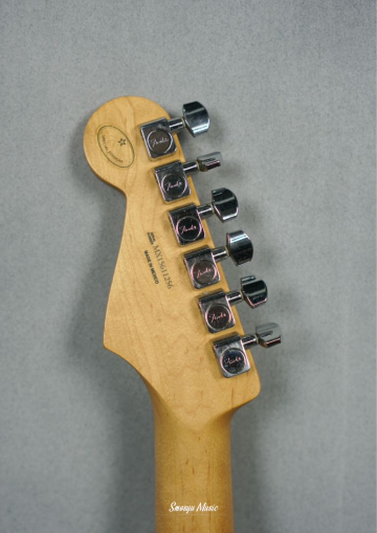 Fender Stratocaster David Lozeau