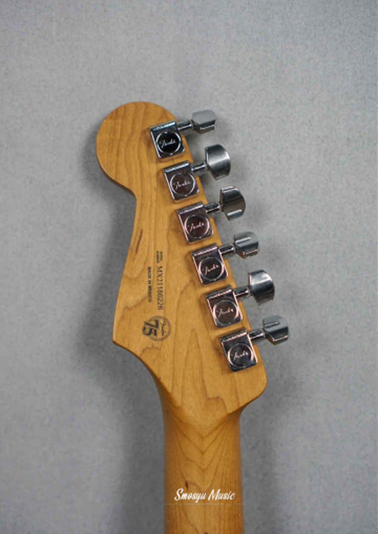 Fender FSR Player Stratocaster Roasted Maple