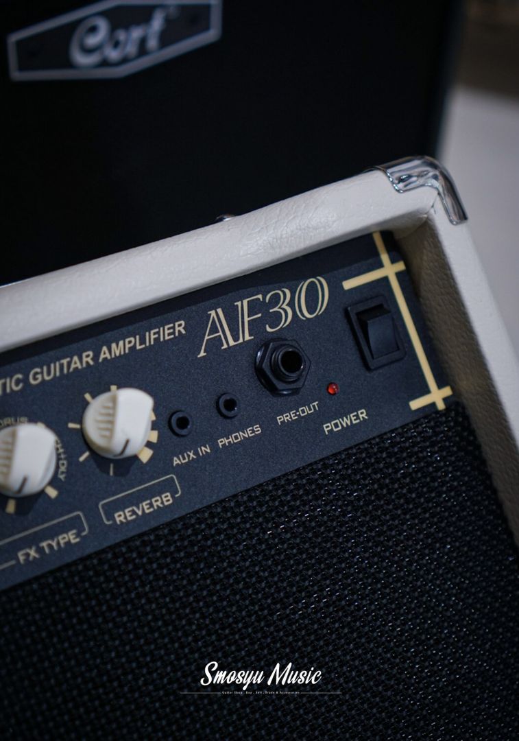 Cort Acoustic Guitar Ampifier AF30