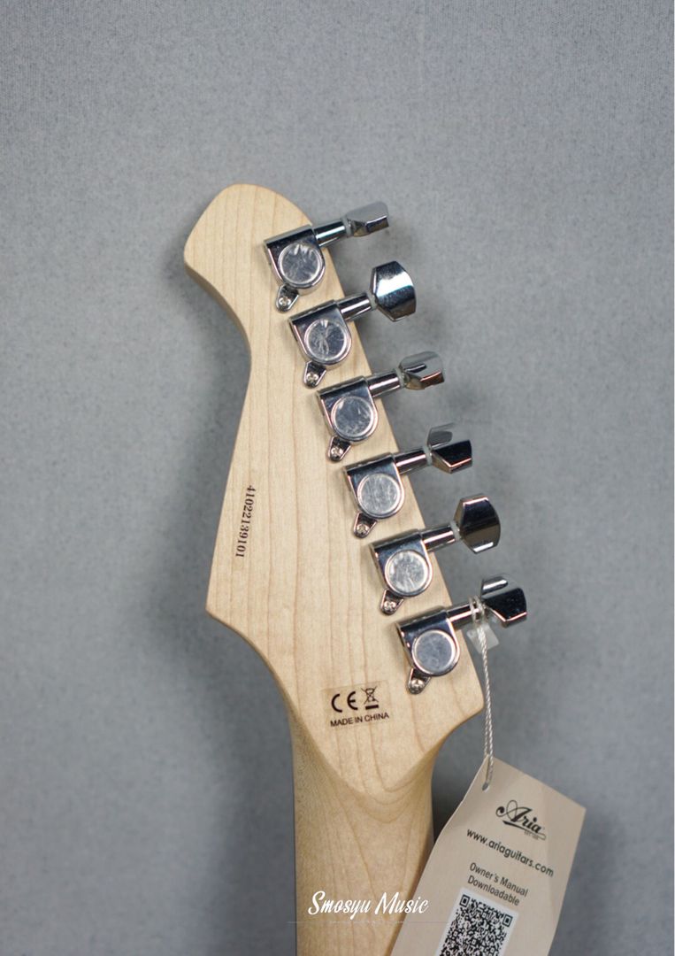 Aria Pro II TEG-002 Electric Guitar TTBK