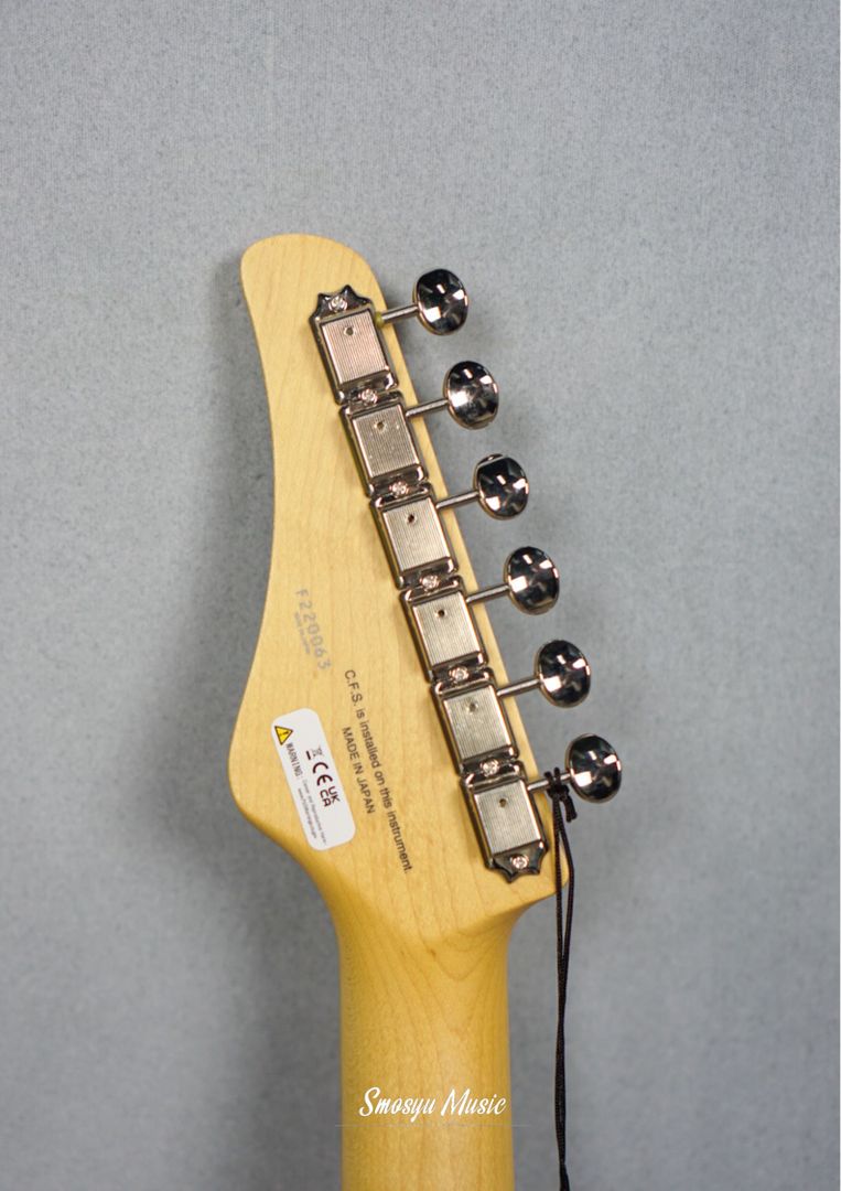 FGN Fujigen BIL2MHS-BK
