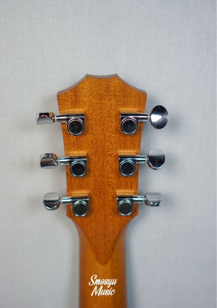 Taylor GS Mini Rosewood Mahogany