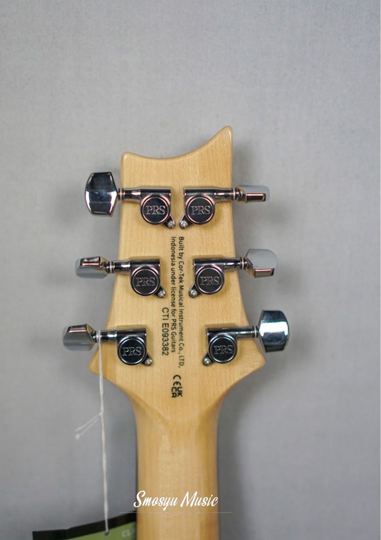 PRS SE Custom 24 Eriza Verde 2021