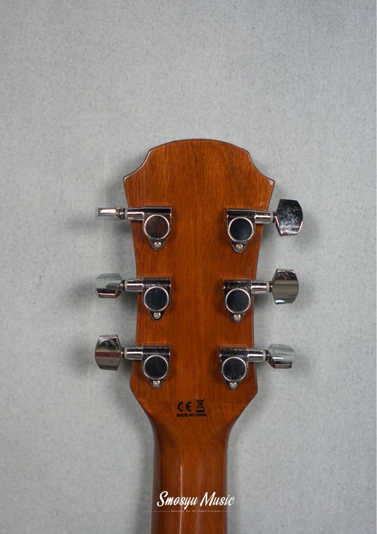 Aria Pro AWN 15CE Tobacco Sunburst