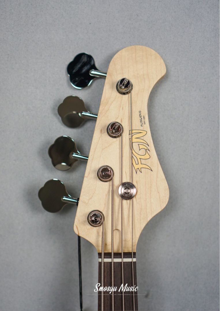 FGN Fujigen BMJ-R-TBS