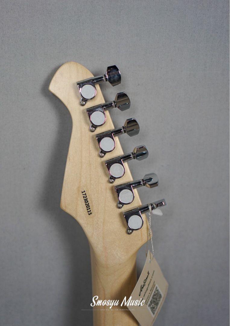 Aria Pro II STG-004/M MBL