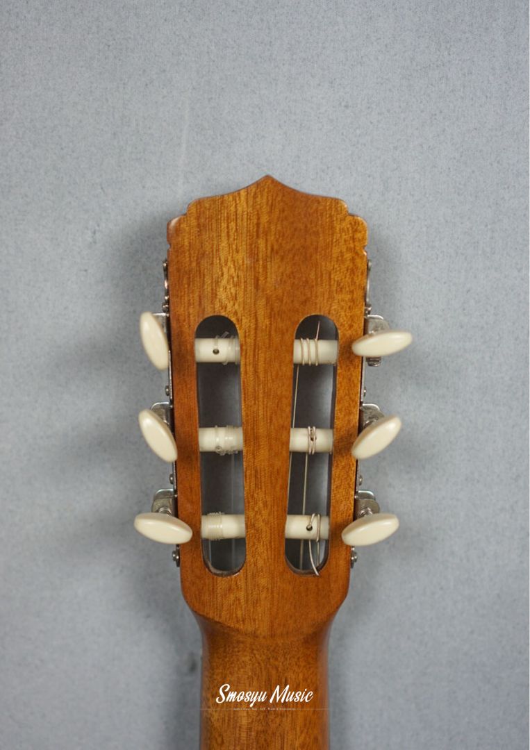 Aria Pro AK 30 CE N