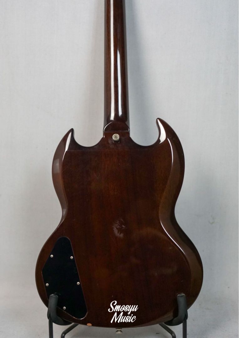 Edwards E SG 80 D