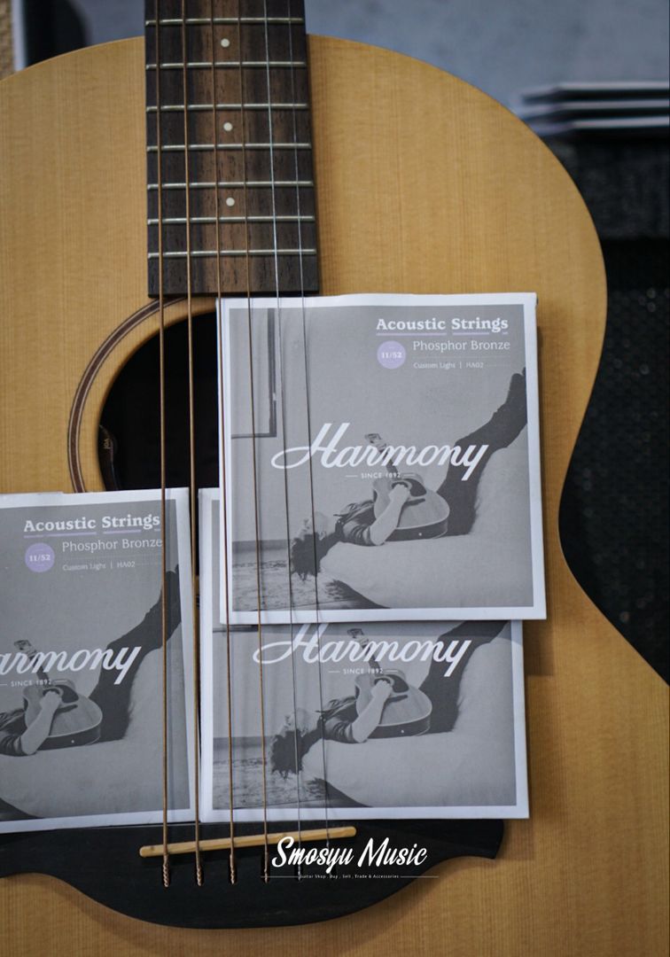 Senar Harmony HA02 Phosphor Bronze Acoustic Guitar Light 11-52