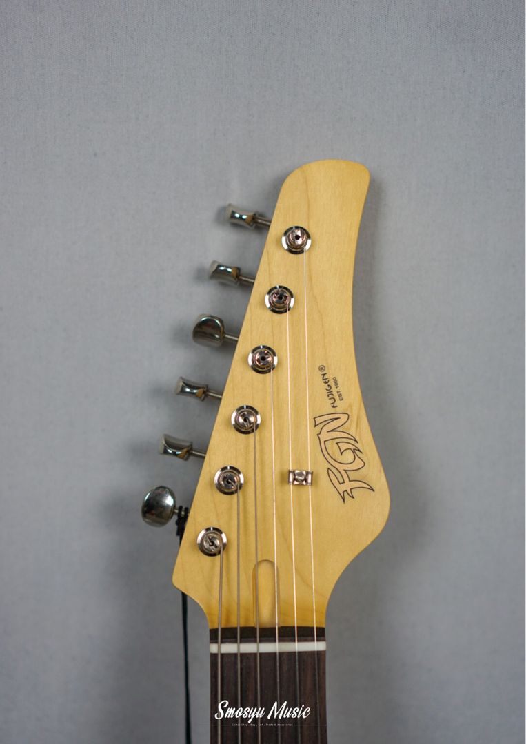 FGN Fujigen BIL2RHS-BGM