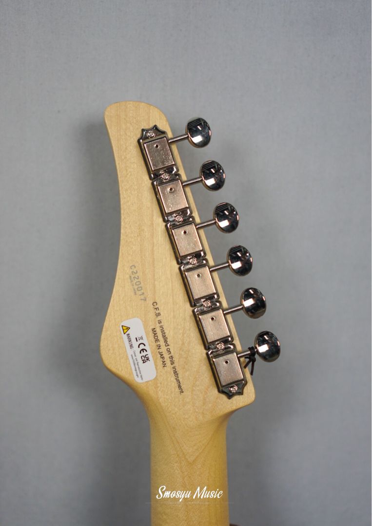 FGN Fujigen BIL2M-3TS