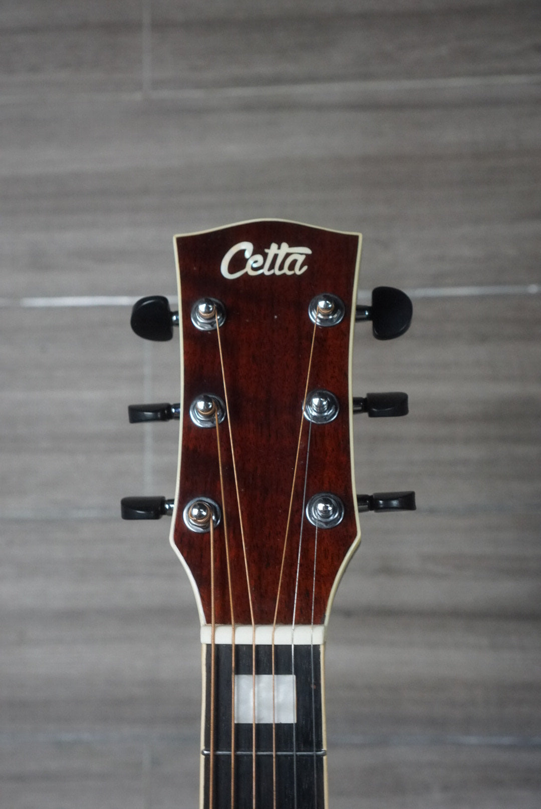 CETTA ACOUSTIC ELECTRIC DR 32 SE MS