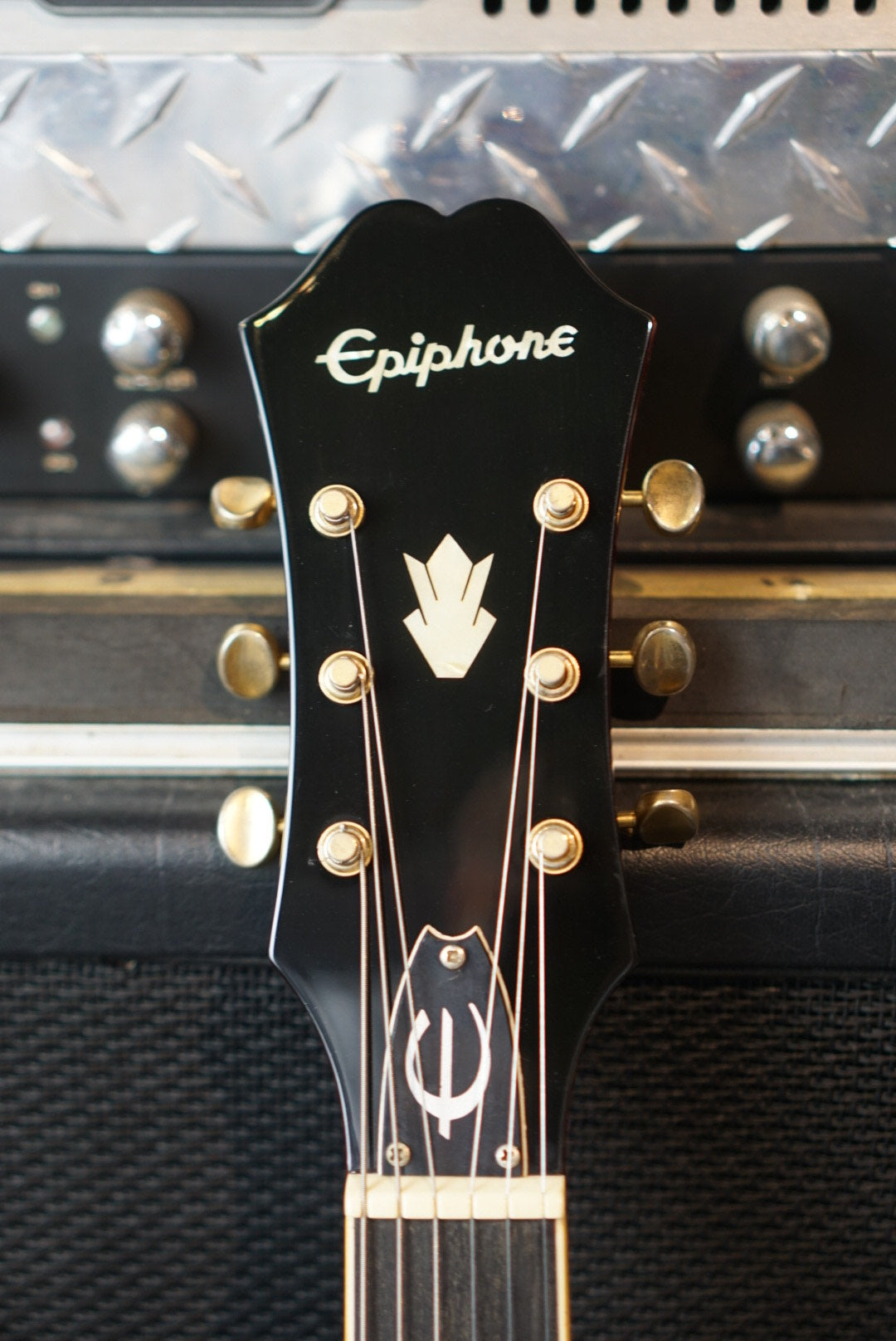 Epiphone Limited Edition Riviera P93