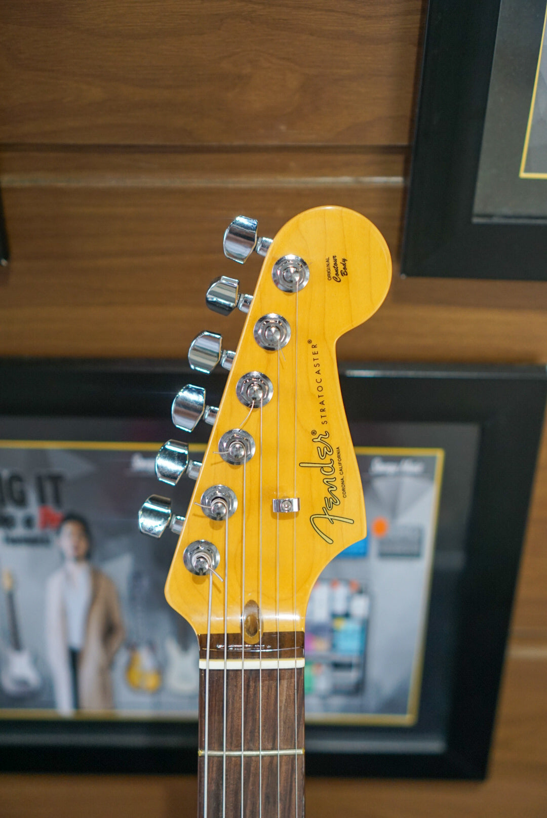 Fender Stratocaster American Professional II Mercury