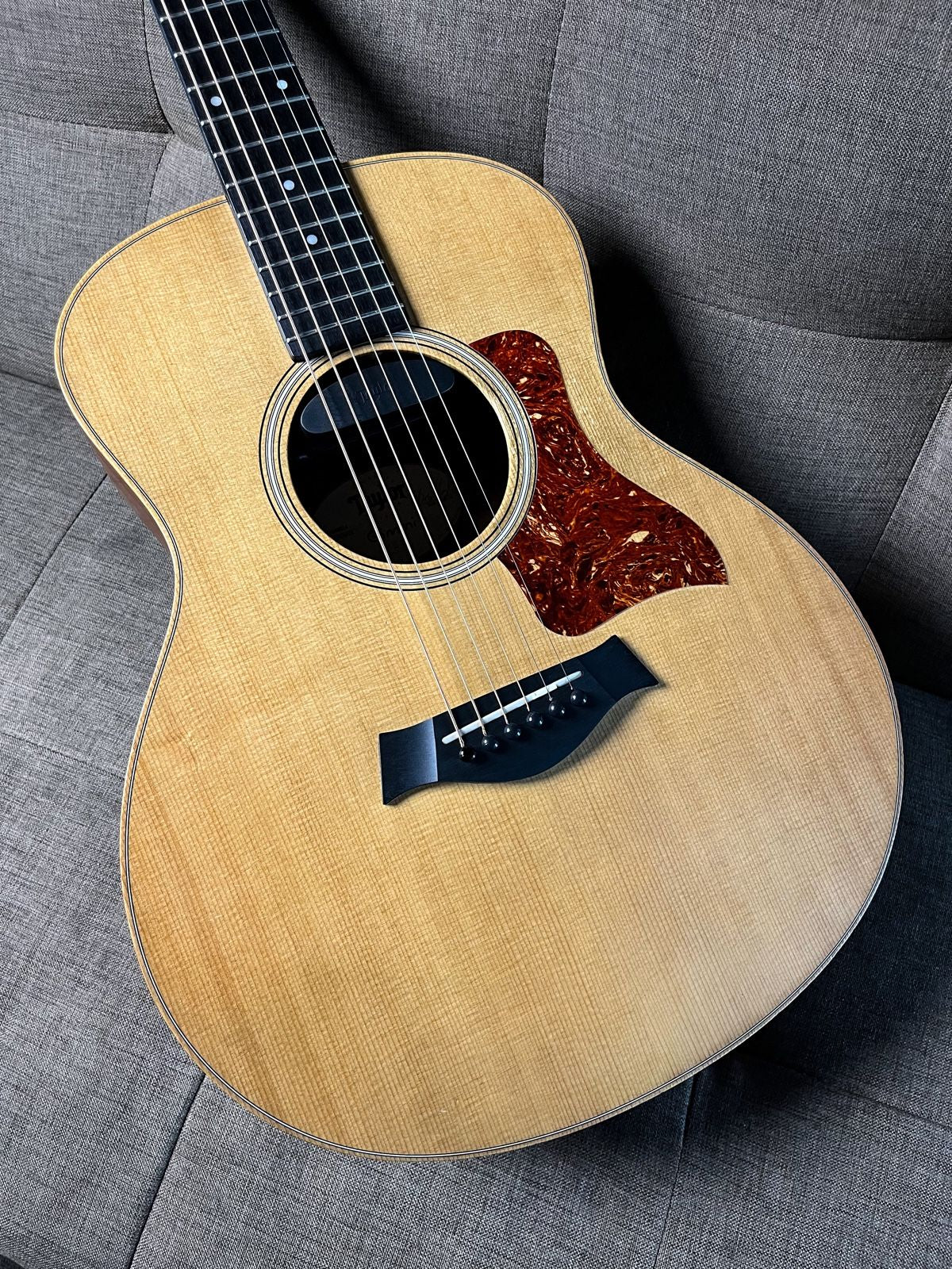 Taylor GS Mini