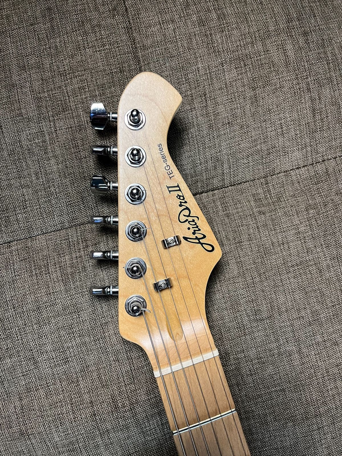 ARIA PRO II TEG-002/M ELECTRIC GUITAR CA