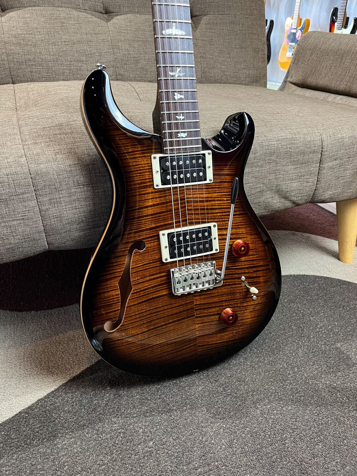 PRS SE Custom 22 Semi Hollow Body