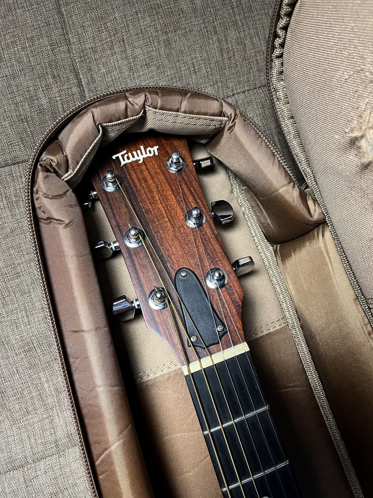 Taylor 110E