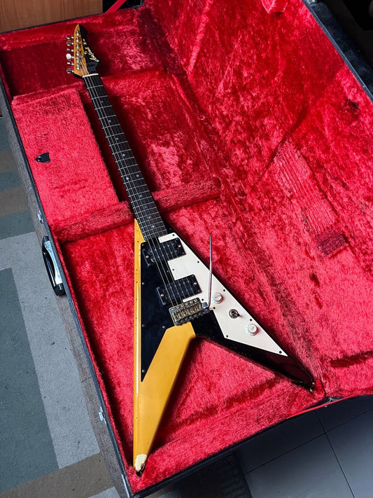 Aria Pro. MS Signature