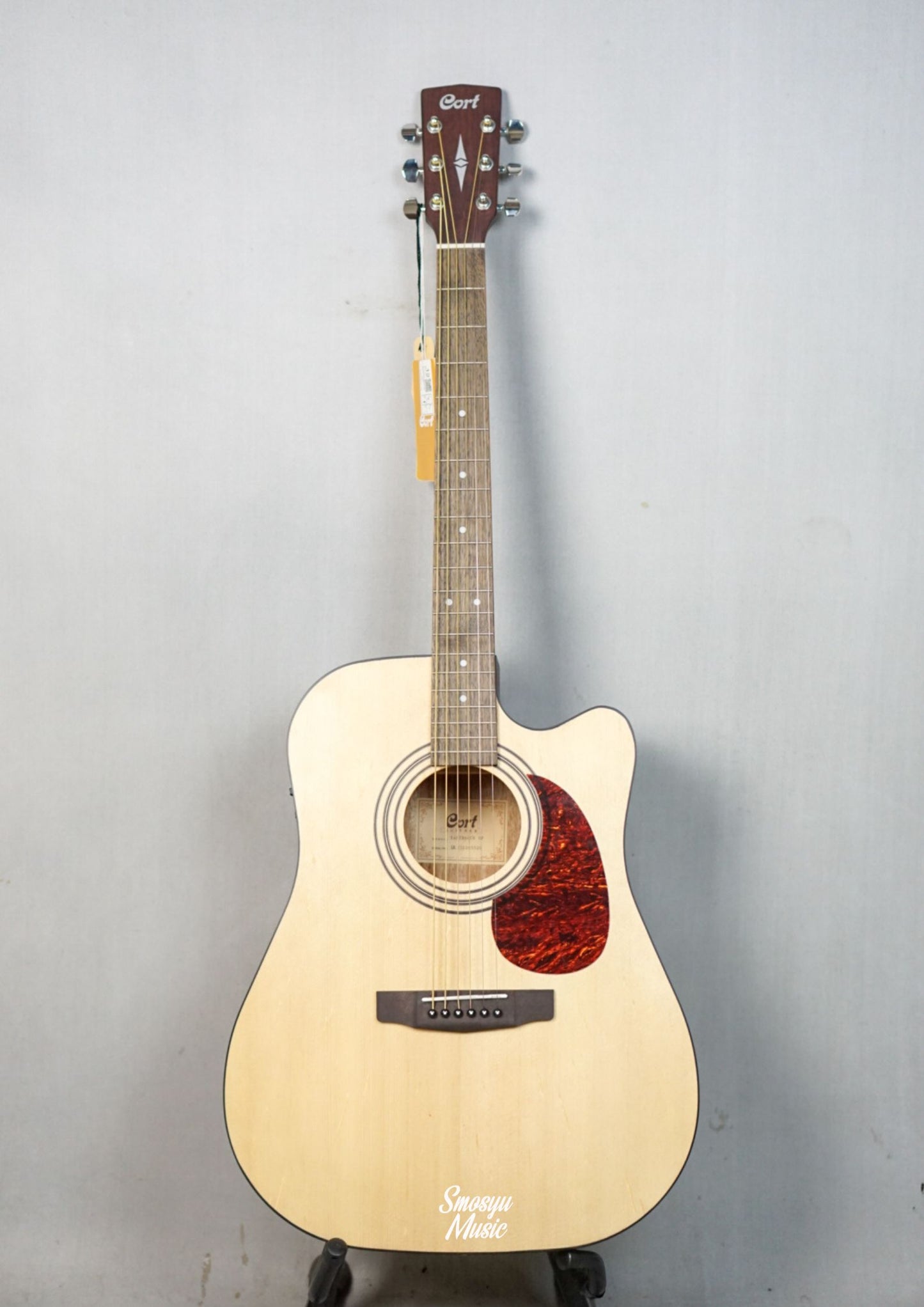 Cort Acoustic EARTH60CE-OP