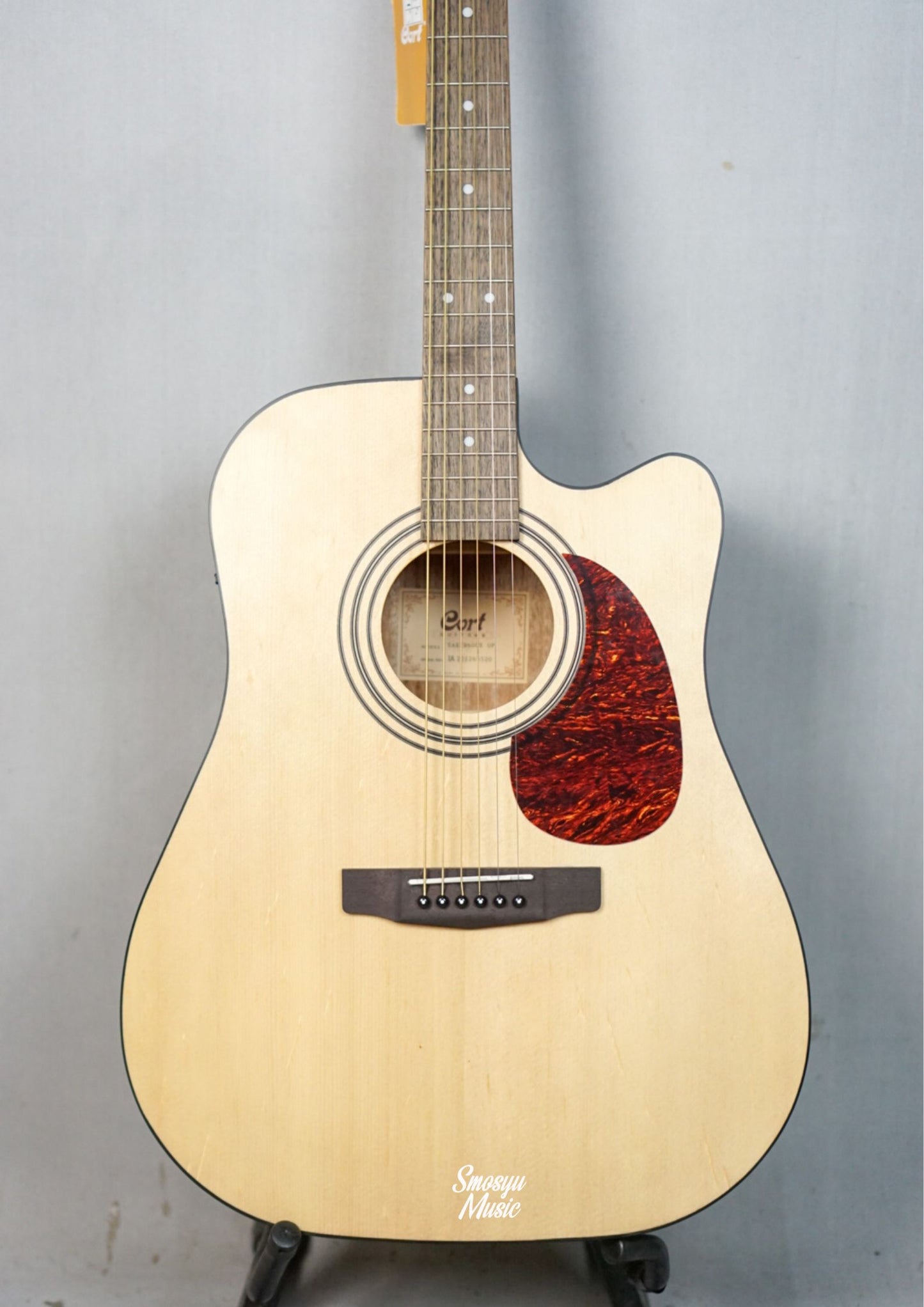 Cort Acoustic EARTH60CE-OP