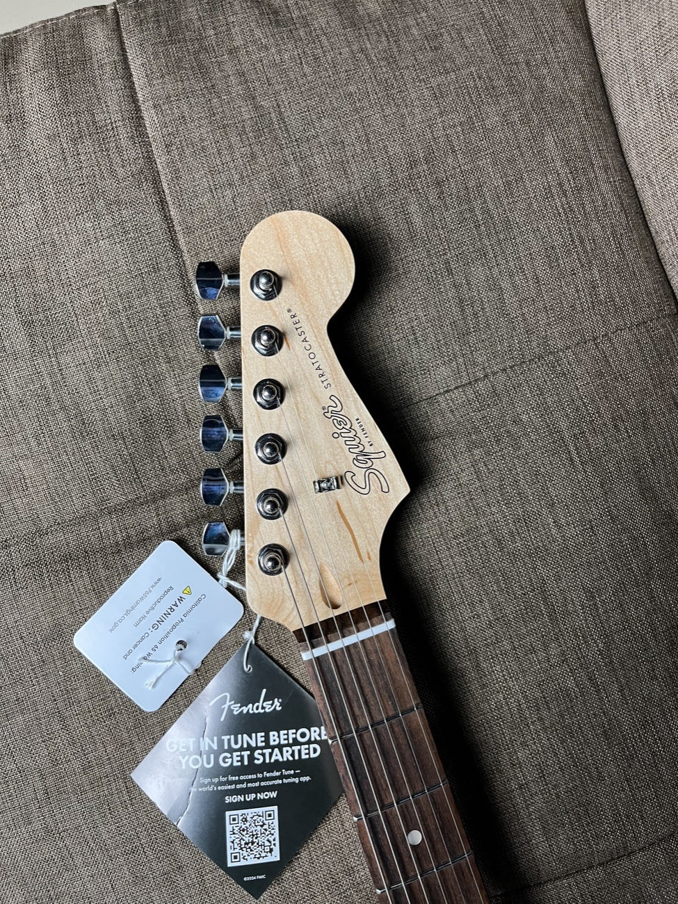 SQUIER DEBUT SERIES STRATOCASTER LAUREL FB TORINO RED
